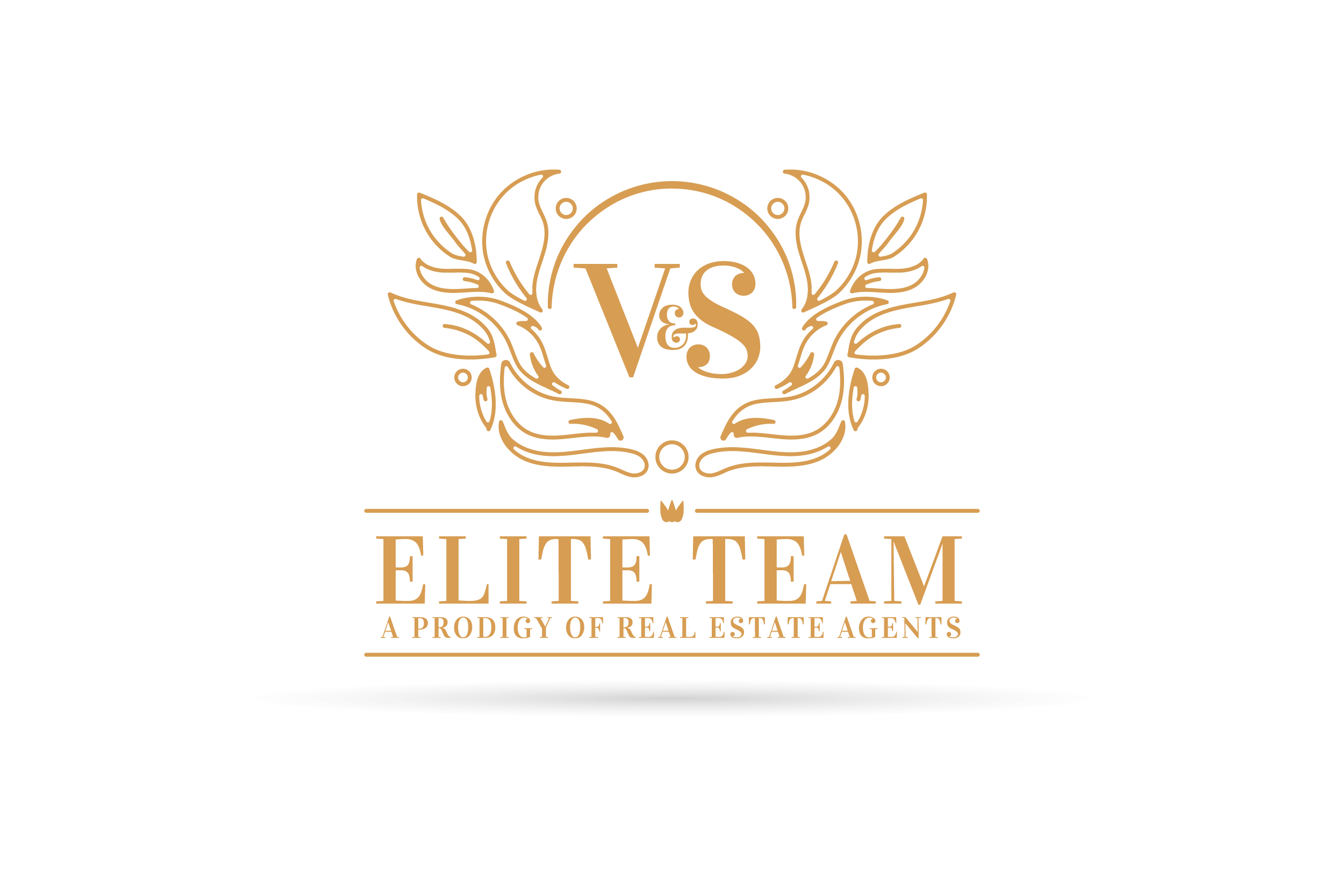 V & S Elite Team
